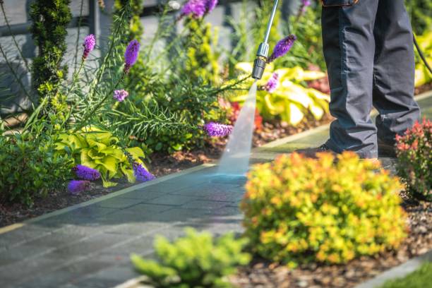 Best Roof Cleaning and Mildew Removal in Wmette, IL